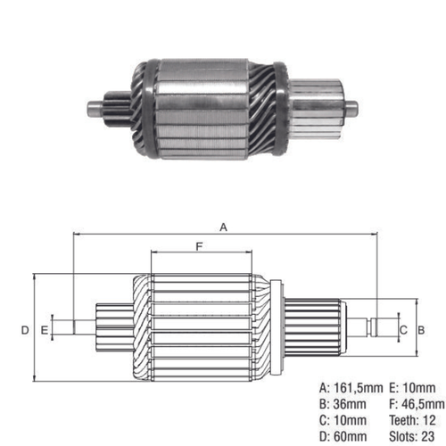 Induzido Volkswagen Mercedes Benz Cargo ZM 4,0Kw 29MT 24v