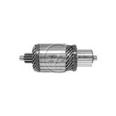 Induzido Volkswagen Mercedes Benz Cargo ZM 4,0Kw 29MT 24v