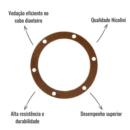 Junta 6 Furos Nicolini Carretas 10 Unidades