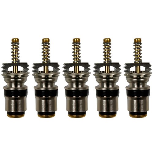 Núcleo Válvula Schrader M8 Large-Bore Clio Megane 206 5 Unid