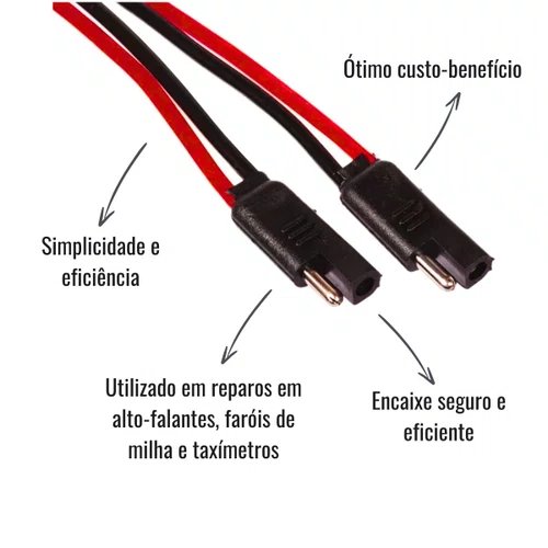 Par Chicote Reparo Rainha das Sete ETE8531 10 Unidades