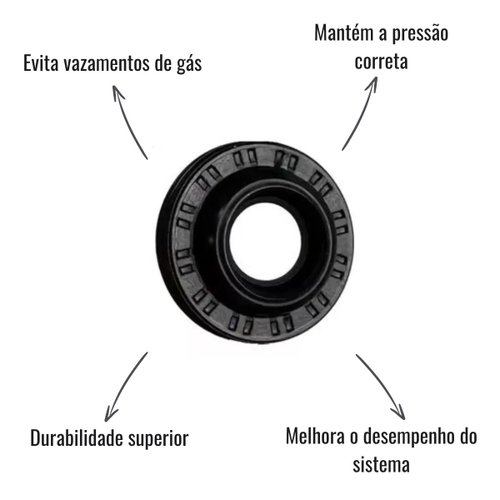 Selo do Compressor Sanden 5H09 Civic Onix Prisma Spin