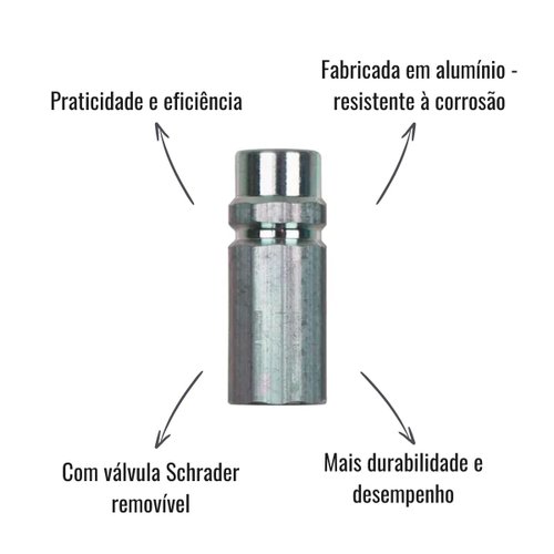 Válvula Enchimento Baixa M10x1,25 Válvula Schrader 5 Unid