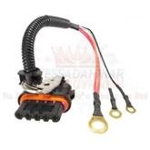 Chicote Reparo Alternador Rainha das Sete ETE7599 5 Vias