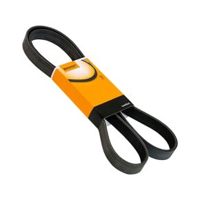 Correia Multi V Acanalada Continental 8PK1940 MB Atego Axor