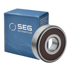 Rolamento SEG 6303DDU 376 - 74N