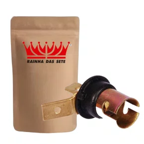 Soquete Rainha das Sete ETE 7099 A 2 Polos 10 Unidades