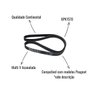 Correia Multi V Acanalada Continental 6PK1570 para Peugeot