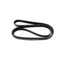 Correia Multi V Acanalada Continental 6PK1570 para Peugeot
