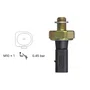 Kit Interruptor Pressão Óleo 3RHO 3387 Fox Up Gol + Chicote