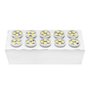 Lâmpada LED Autopoli Branco 24V 1,8W W2,1X9,5D Pingão 10 Un